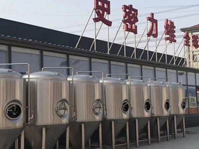 黑水精酿啤酒设备厂—市场规模与跨界新需求